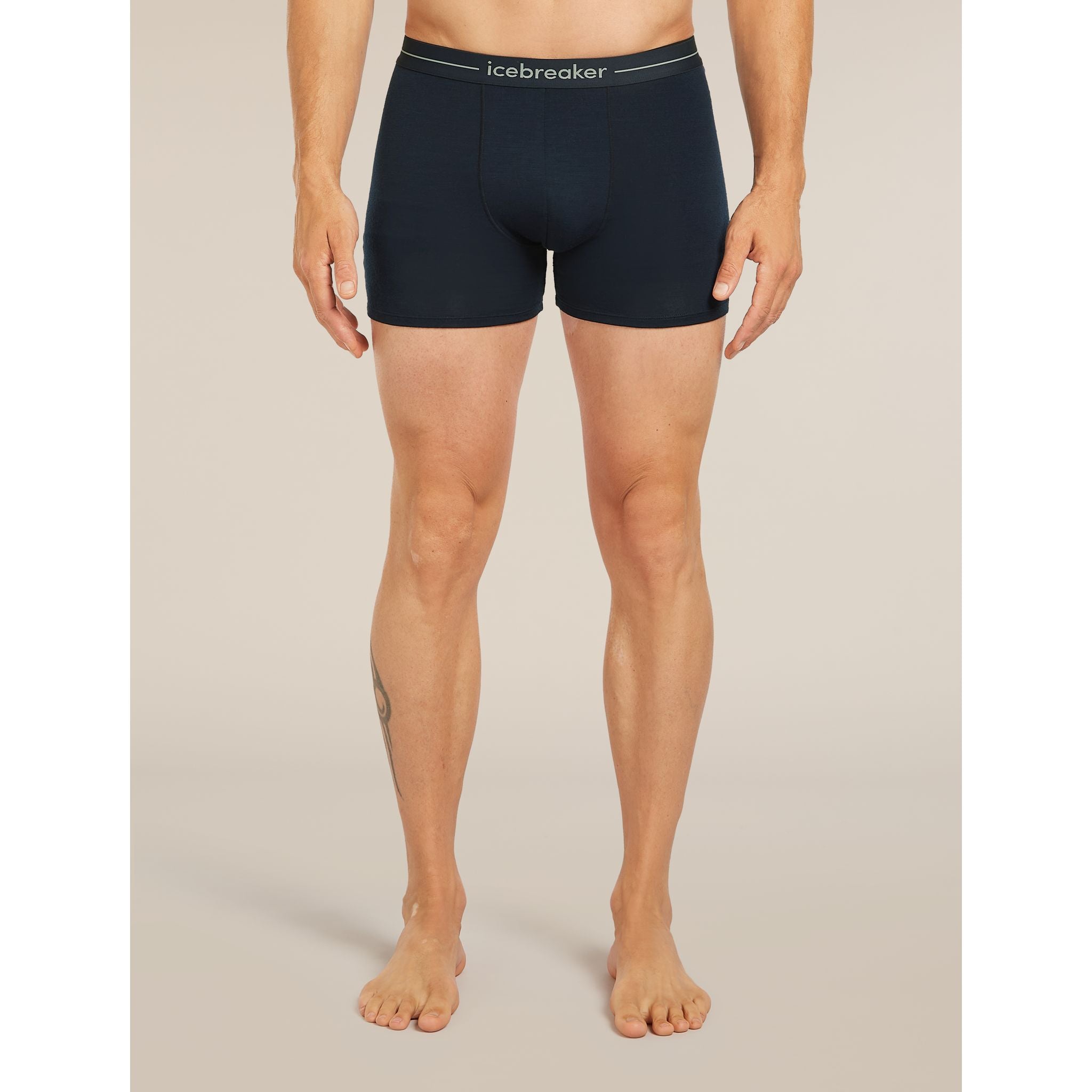 Icebreaker Men's Merino 150 Anatomica Boxers