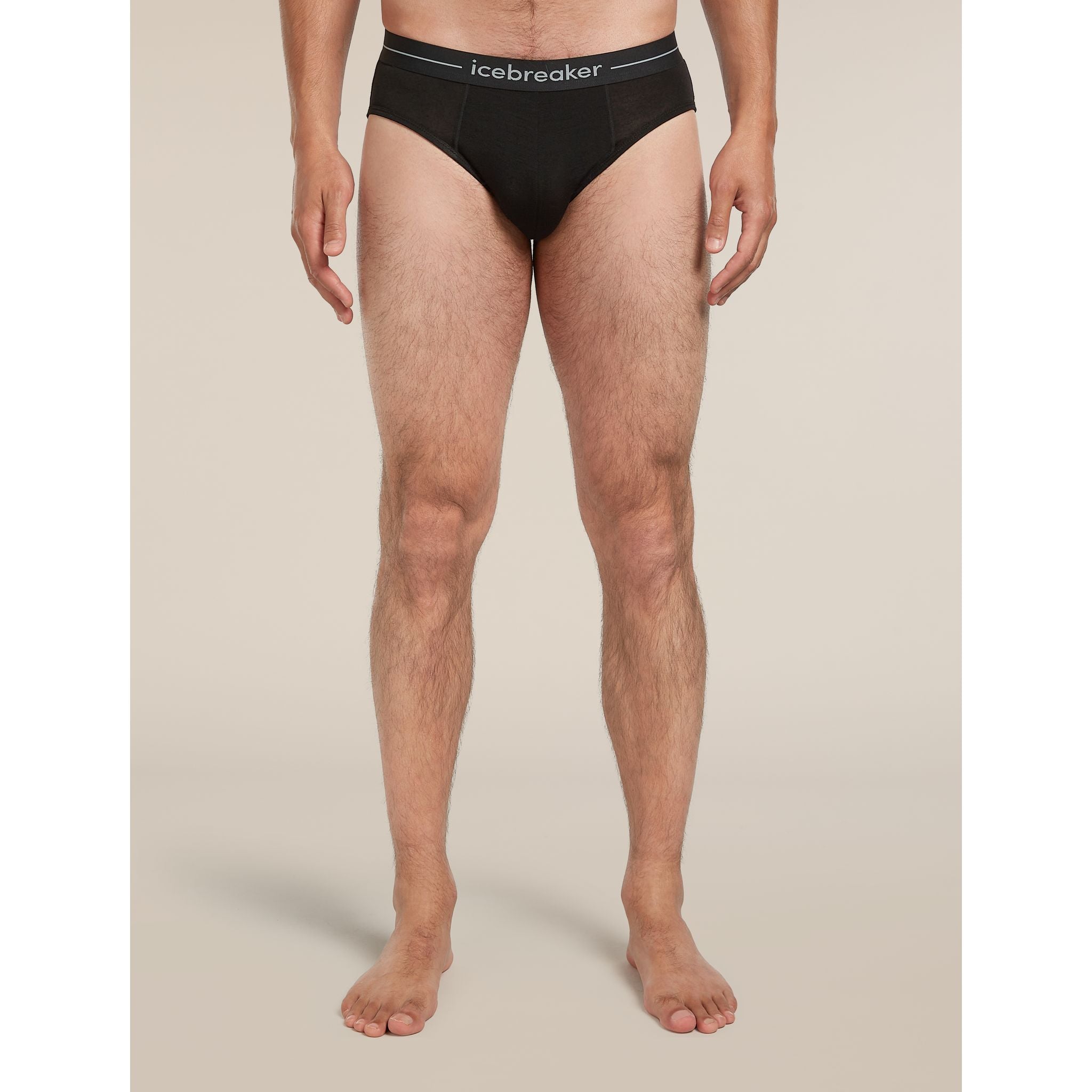 Icebreaker Men's Merino 150 Anatomica Briefs