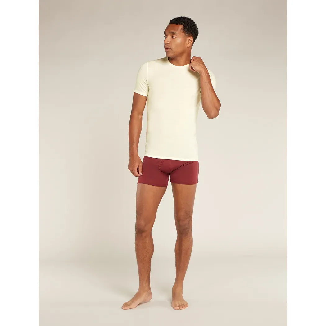 Icebreaker Men's Merino Anatomica Crewe T-shirt