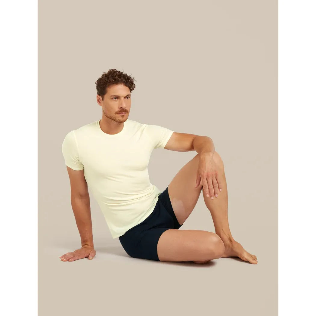 Icebreaker Men's Merino Anatomica Crewe T-shirt
