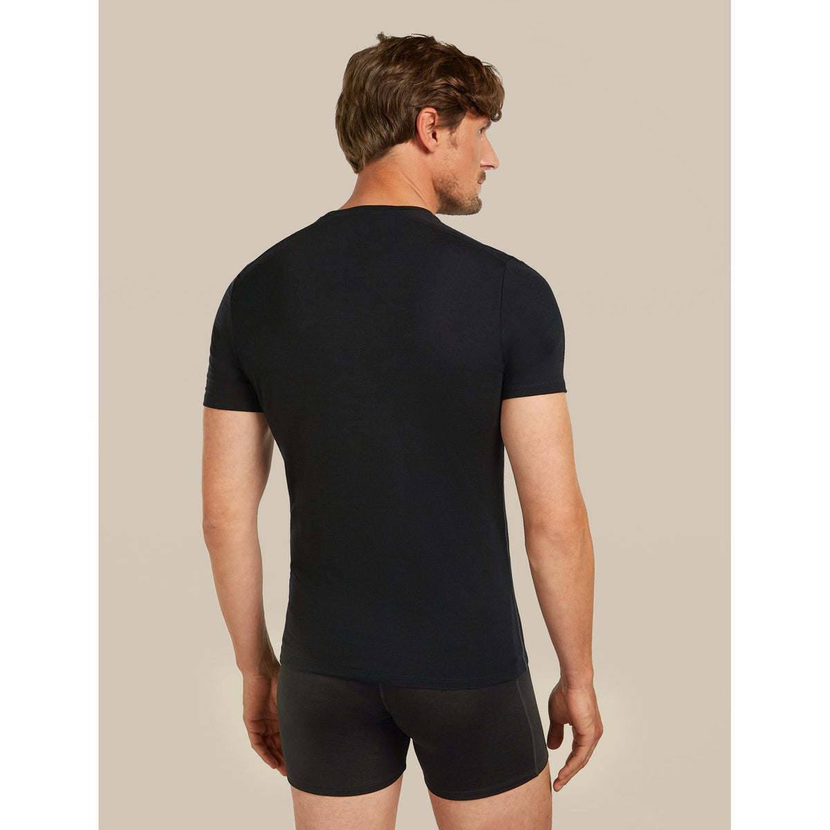 Icebreaker Men's Merino Anatomica Crewe T-shirt