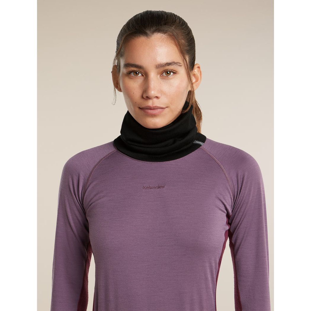 Icebreaker Merino 260 Oasis Chute