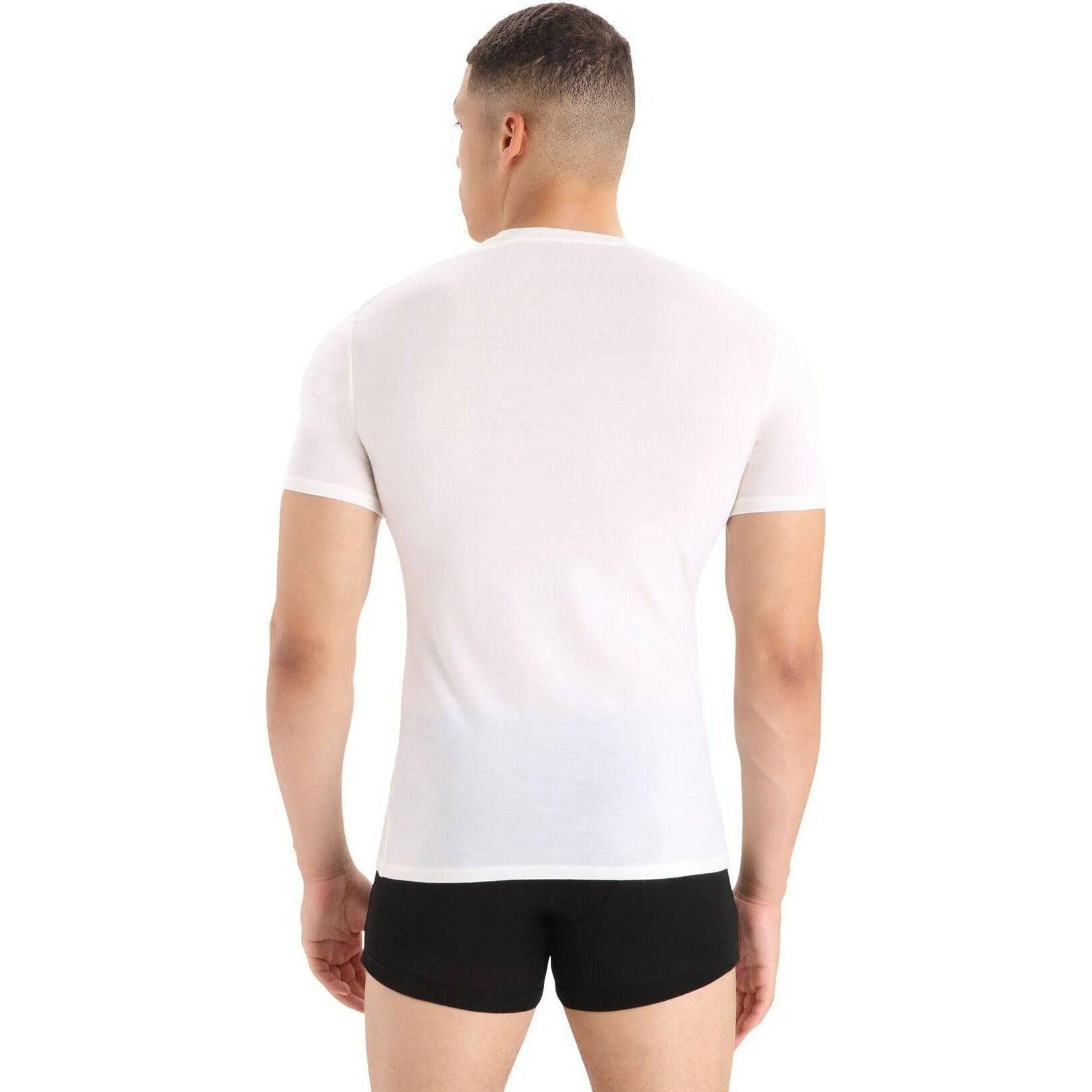 Icebreaker Mens Anatomica SS Crewe Outside Sports