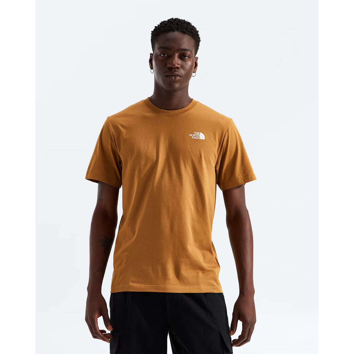 The North Face Men's Mountainscape Regular SS T-Shirt