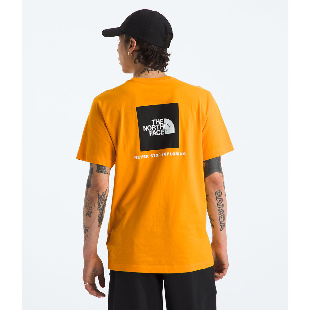 The North Face Men’s Evolution Box NSE Short Sleeve T-Shirt