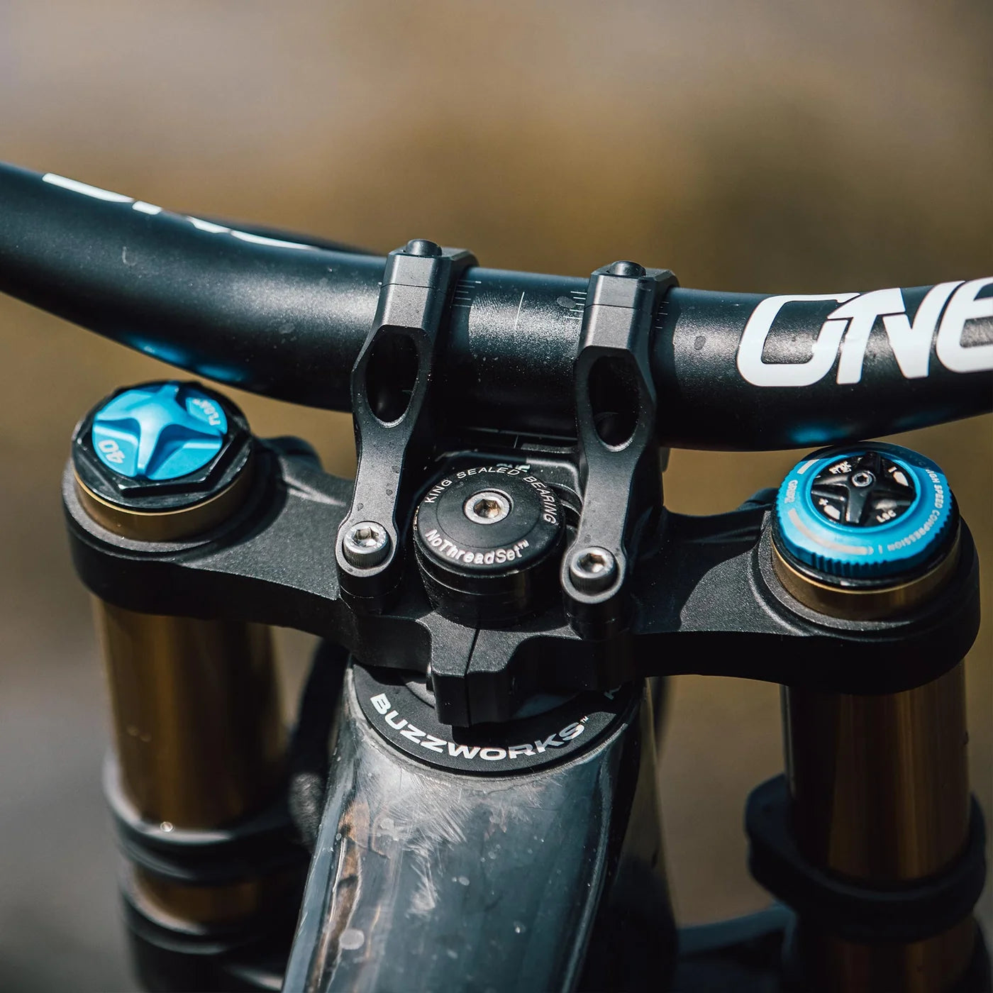 OneUp Direct Mount DH Stem