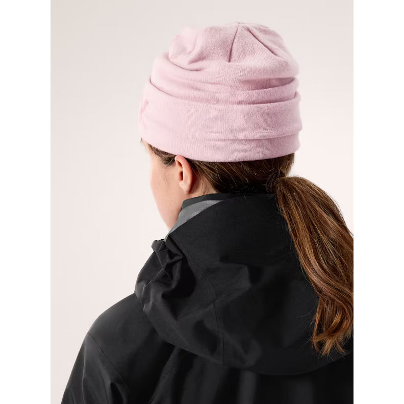 Arc'teryx Bird Word Toque Beanie