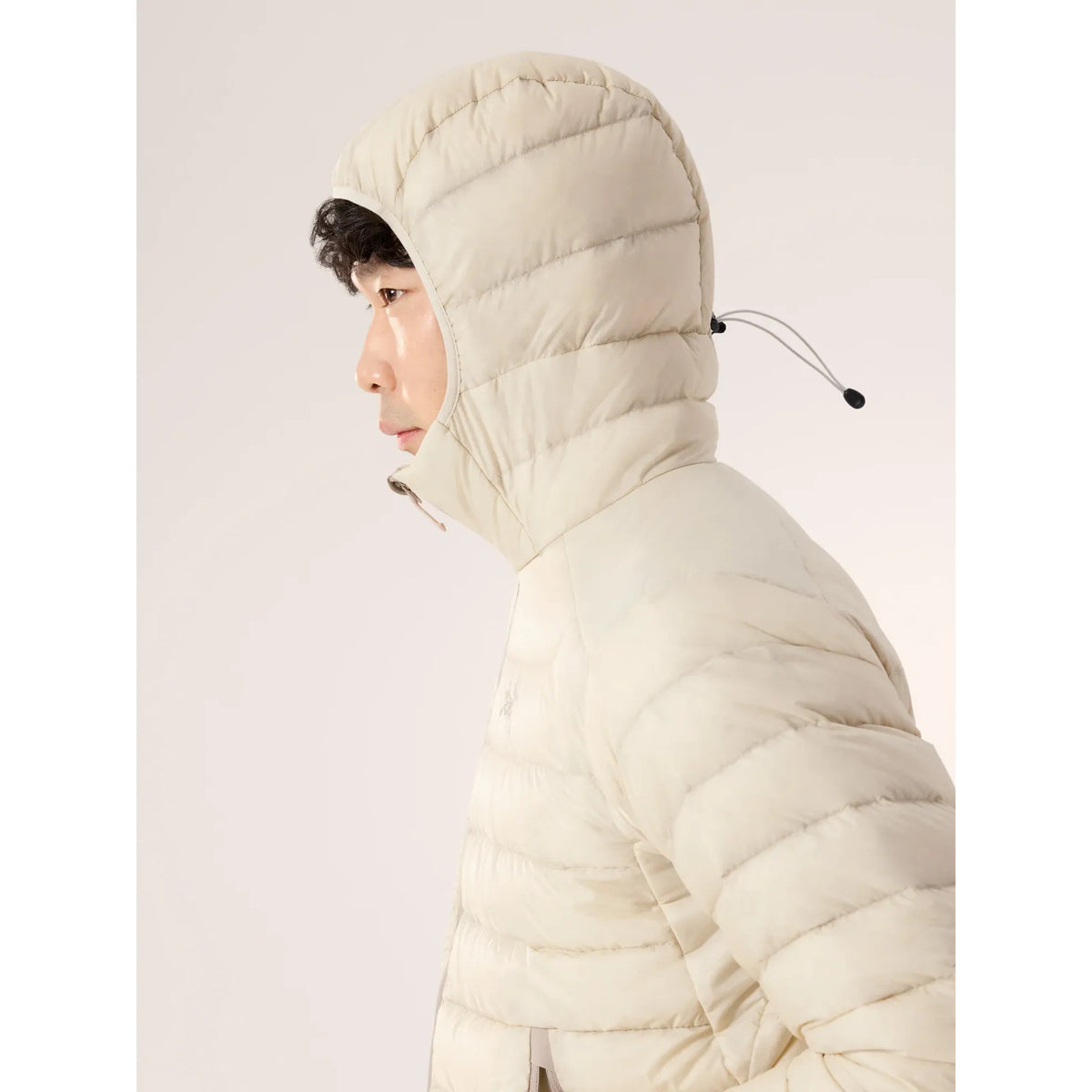 Arc'teryx Men's Cerium Hoody