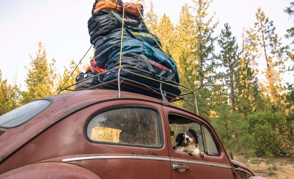 a vw piled high with patagonia black hole bags with a dog looking out the window