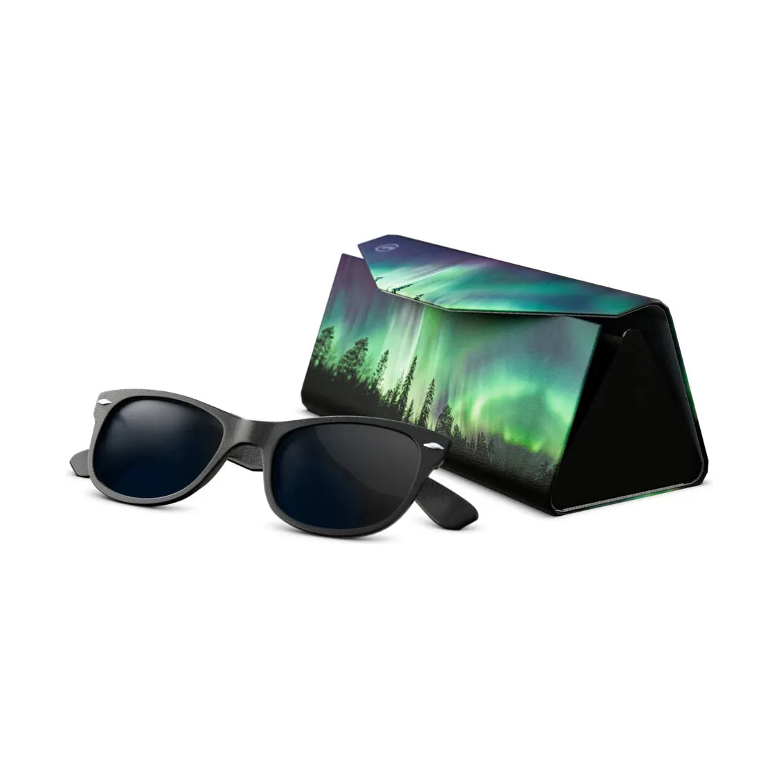 Goggle Soc SunnyCase Sunglass Case