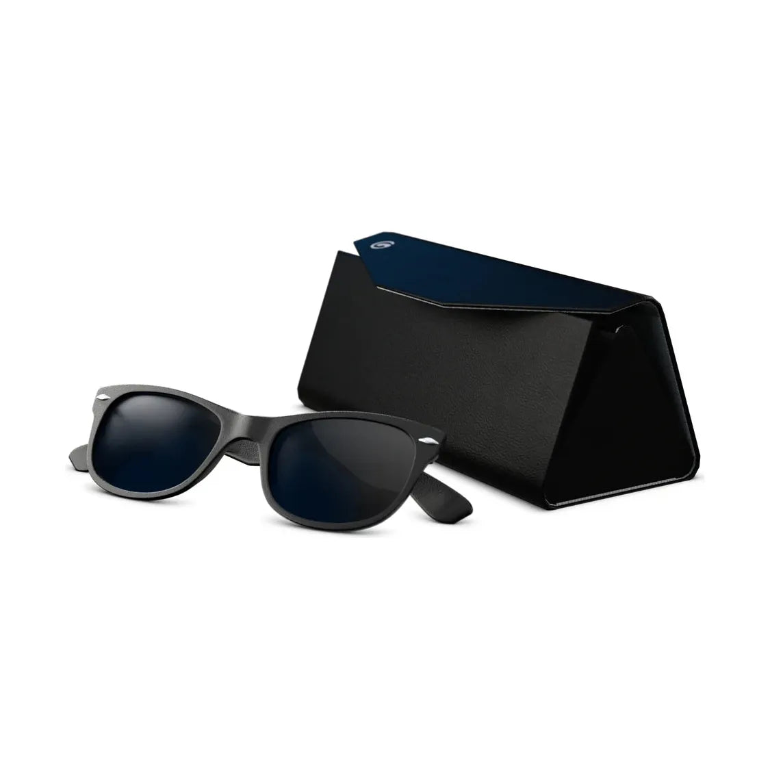 Goggle Soc SunnyCase Sunglass Case