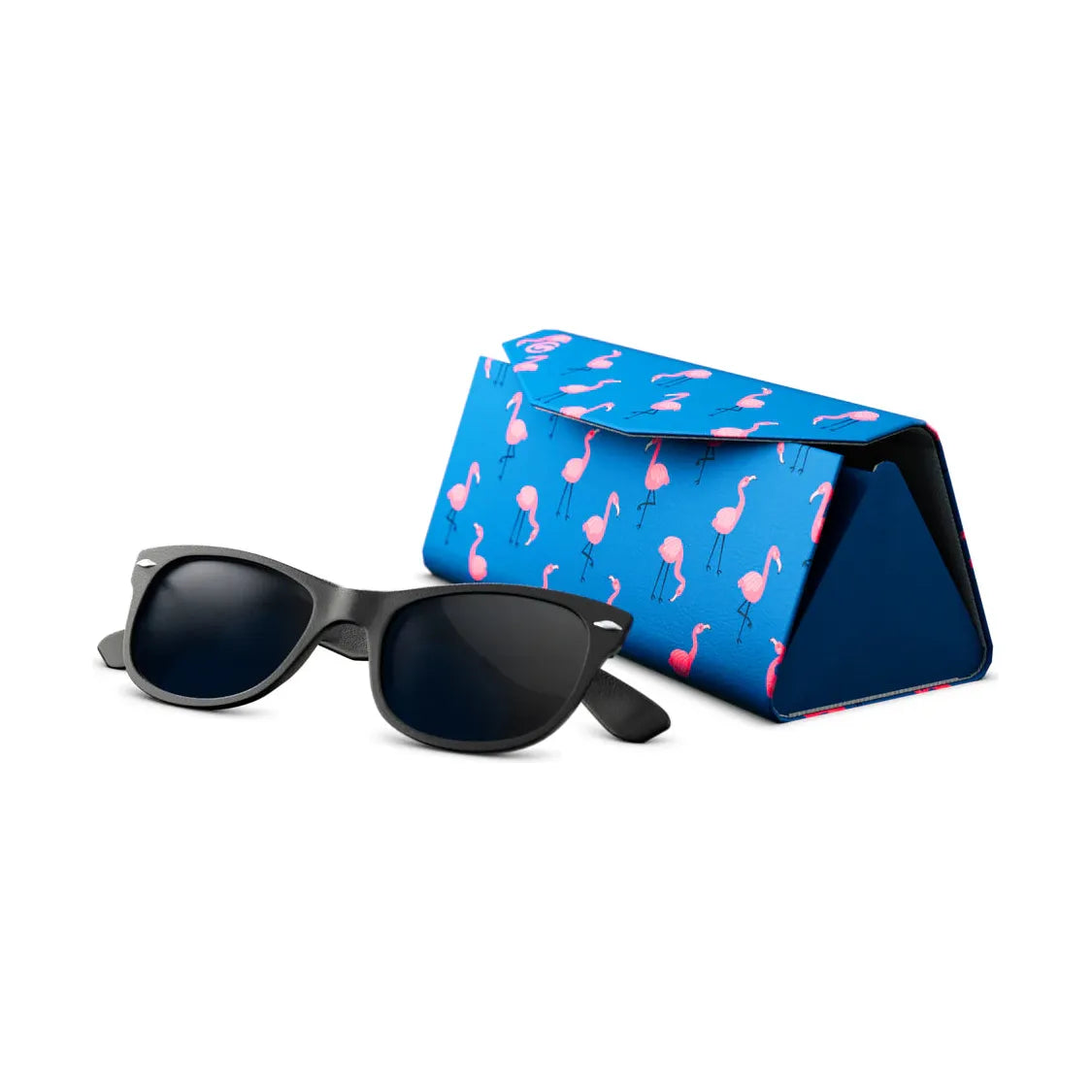 Goggle Soc SunnyCase Sunglass Case
