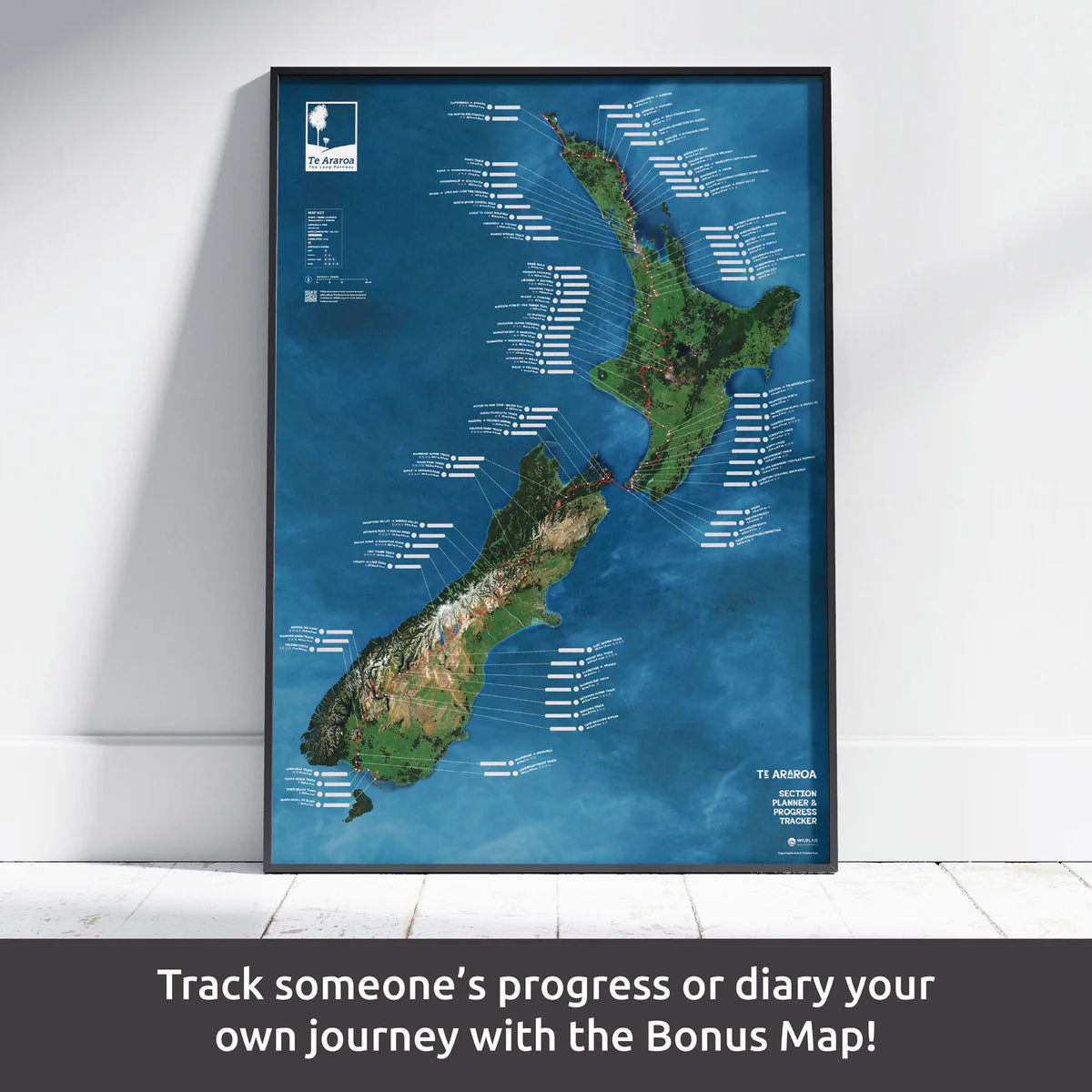 WildLab Te Araroa Map Series and Toolkit