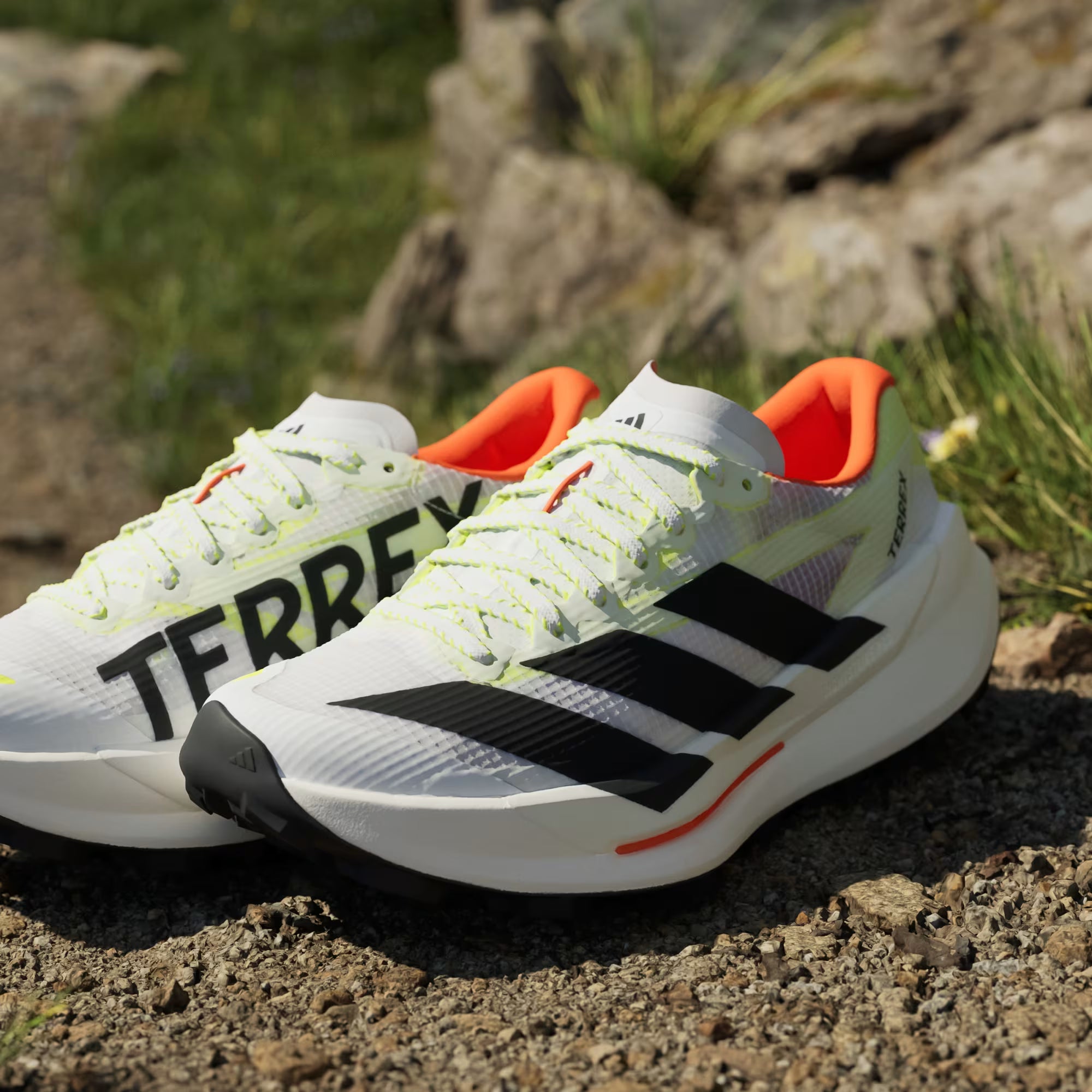 Adidas Women's Terrex Agravic TT Trail Running Shoes