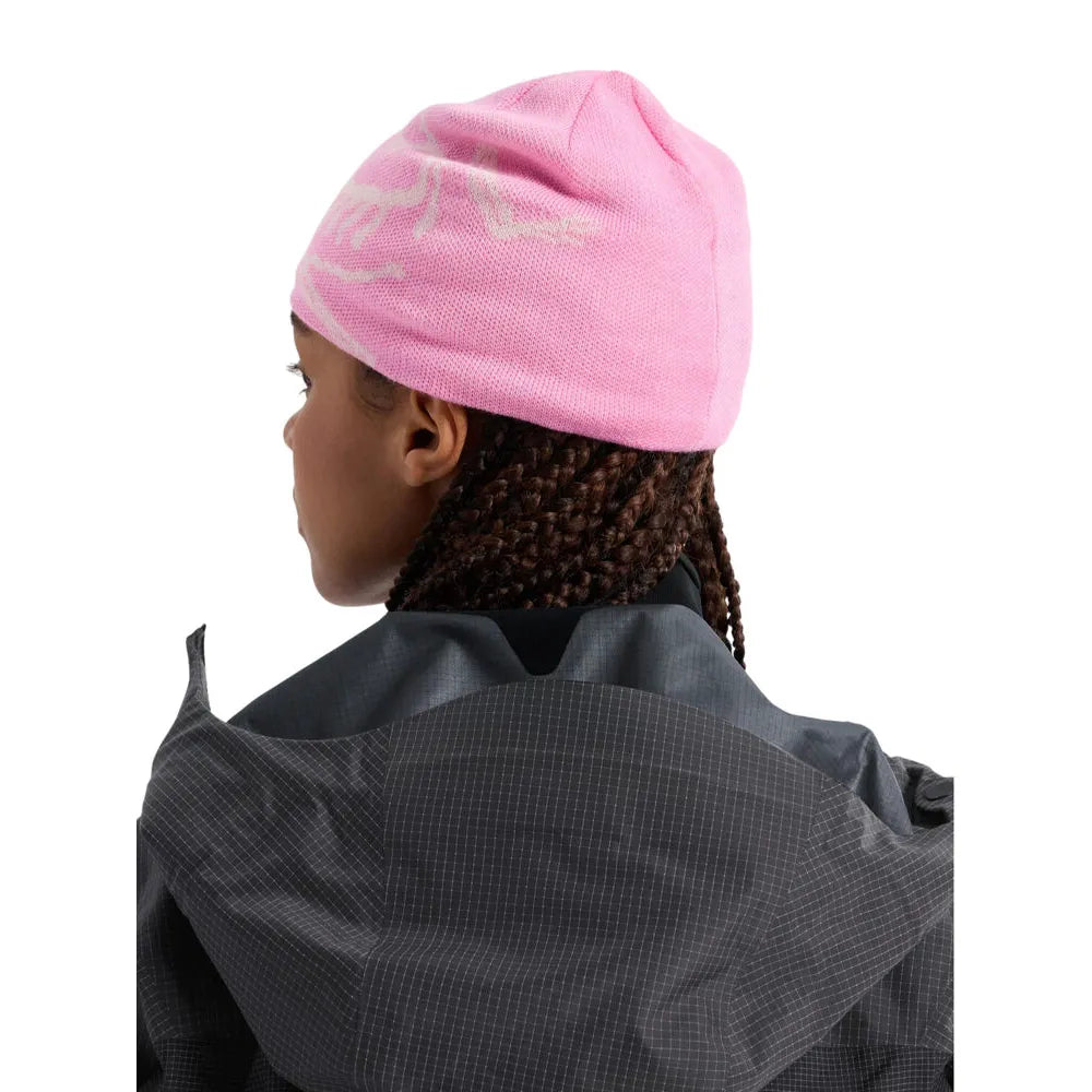 Arc'teryx Bird Head Toque Beanie