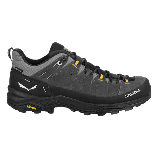 Salewa Men's Alp Trainer 2 Gore-Tex Hiking Shoes