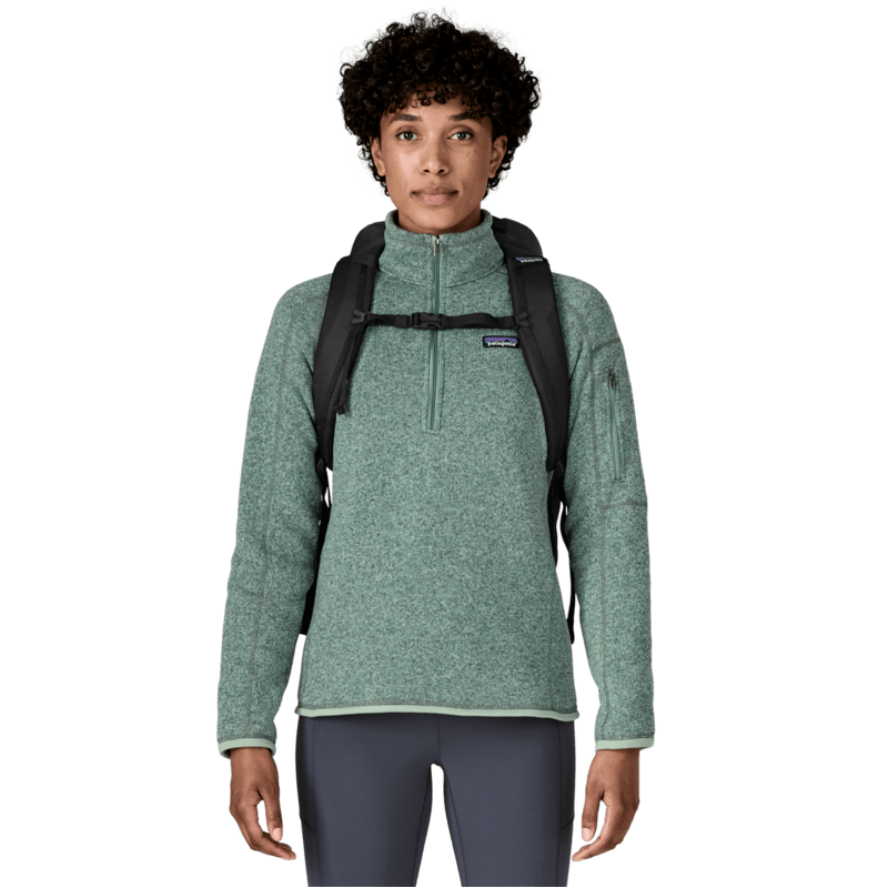 Patagonia Black Hole Pack 25L