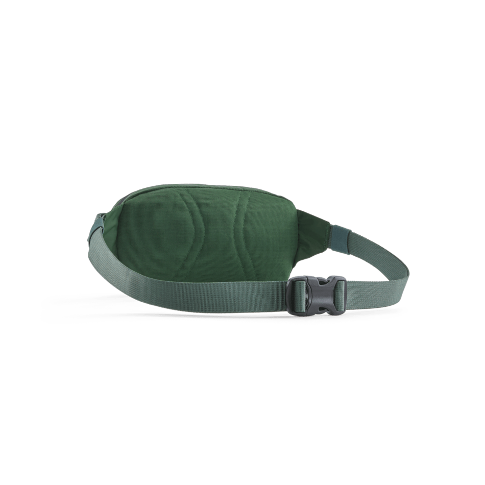 Patagonia Terravia Mini Hip Pack