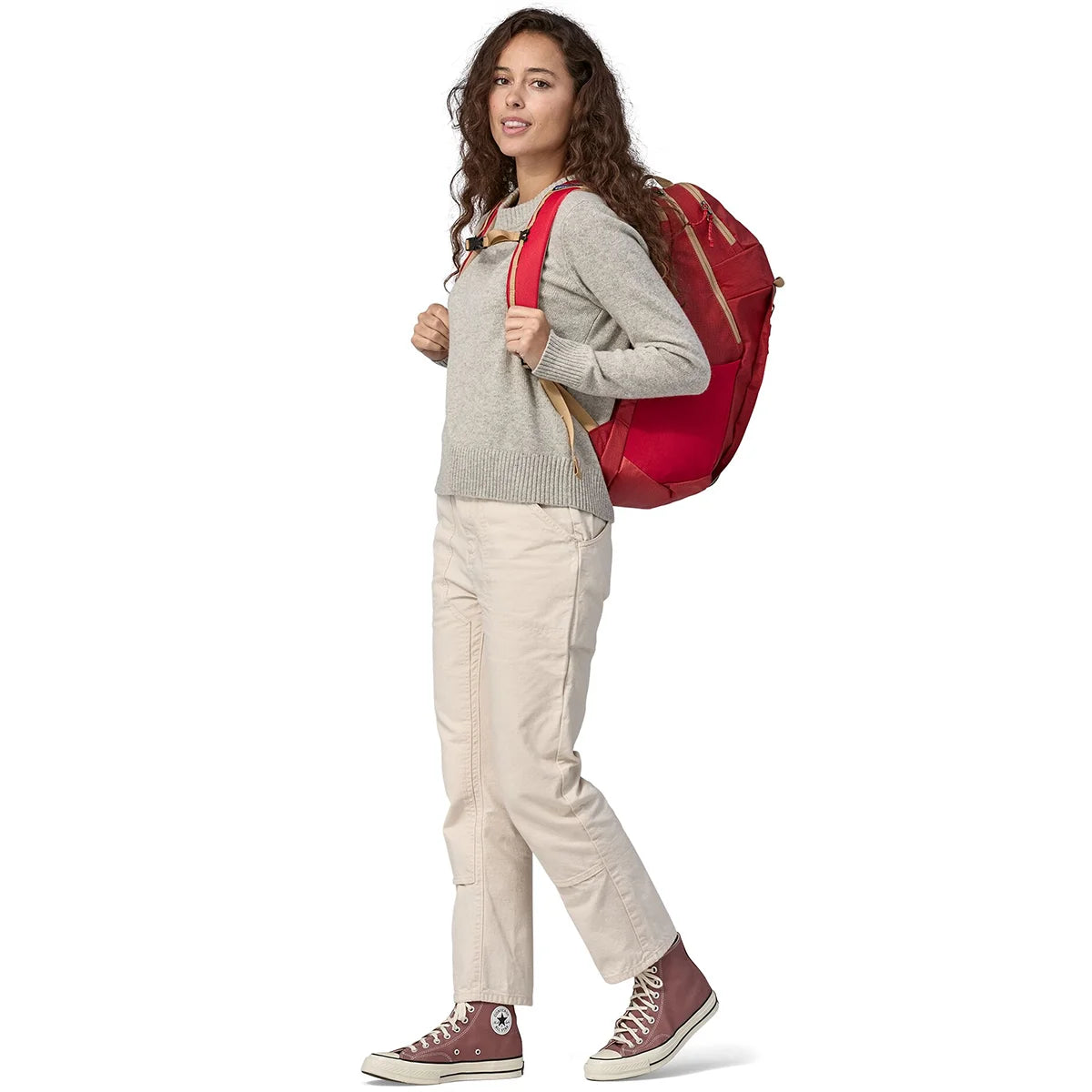 Patagonia Black Hole Pack 32L