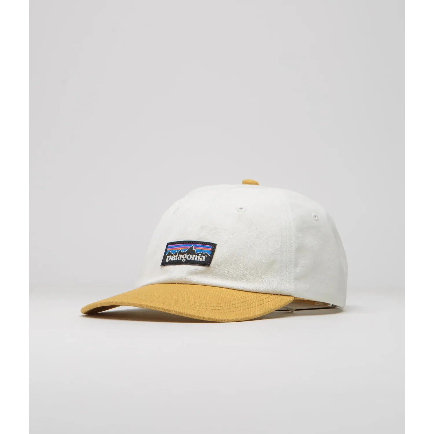 Patagonia P-6 Label Trad Cap