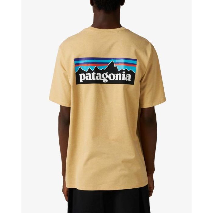 Patagonia Men's P-6 Logo Responsibili-Tee