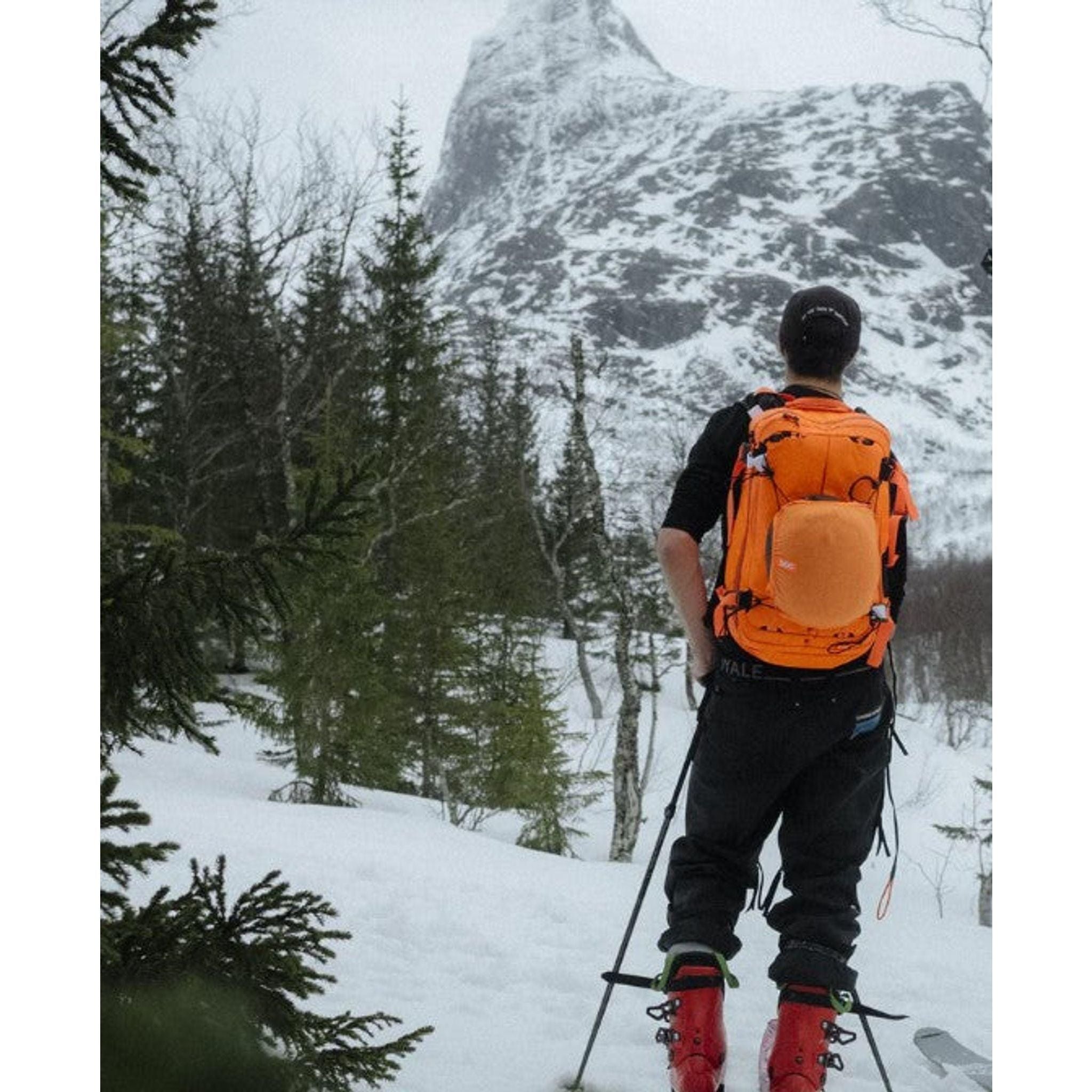 POC Dimension Avalanche Backpack <span style="background-color:rgb(246,247,248);color:rgb(28,30,33);"> Bags and Luggage </span>